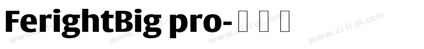 FerightBig pro字体转换